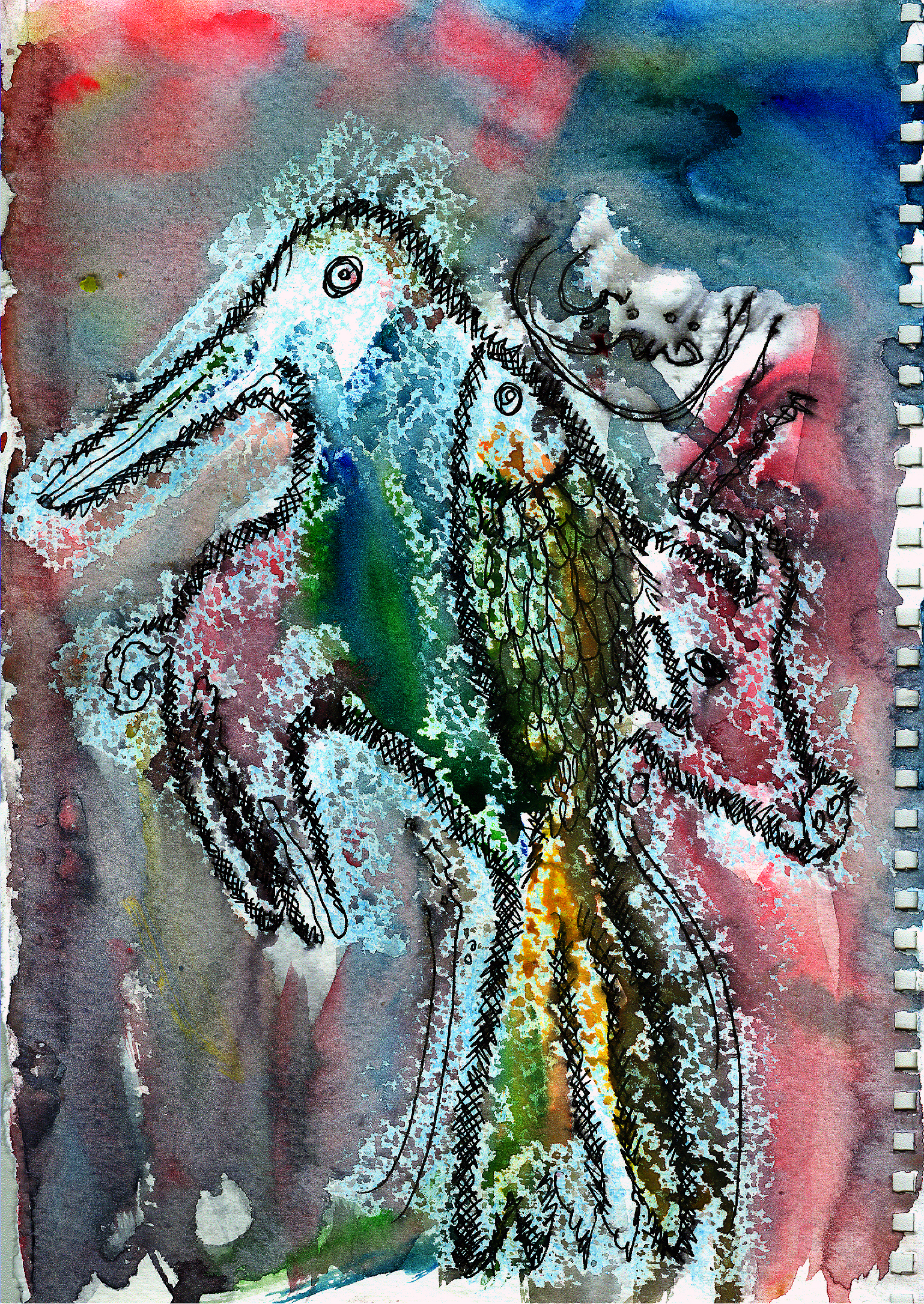 Crow 1